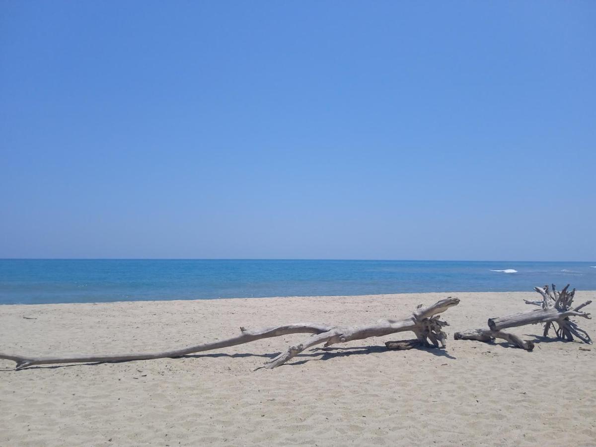 Guachaca Bob Marley Beach מראה חיצוני תמונה